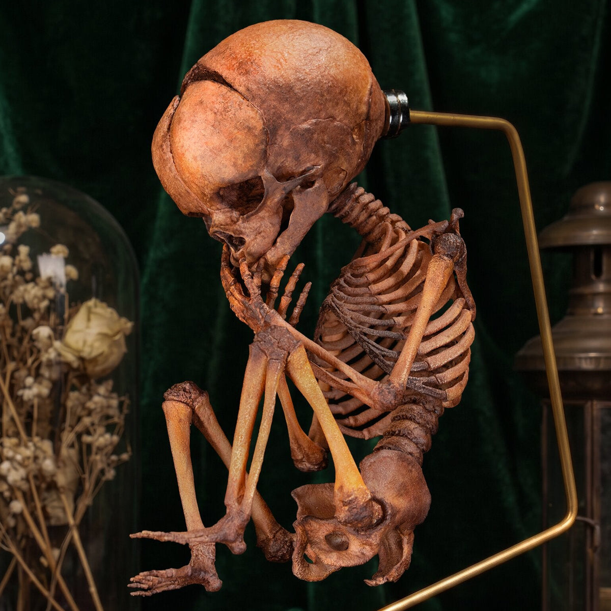 3D Printed Human Fetus Infant skeleton on Magnet Stand, hand