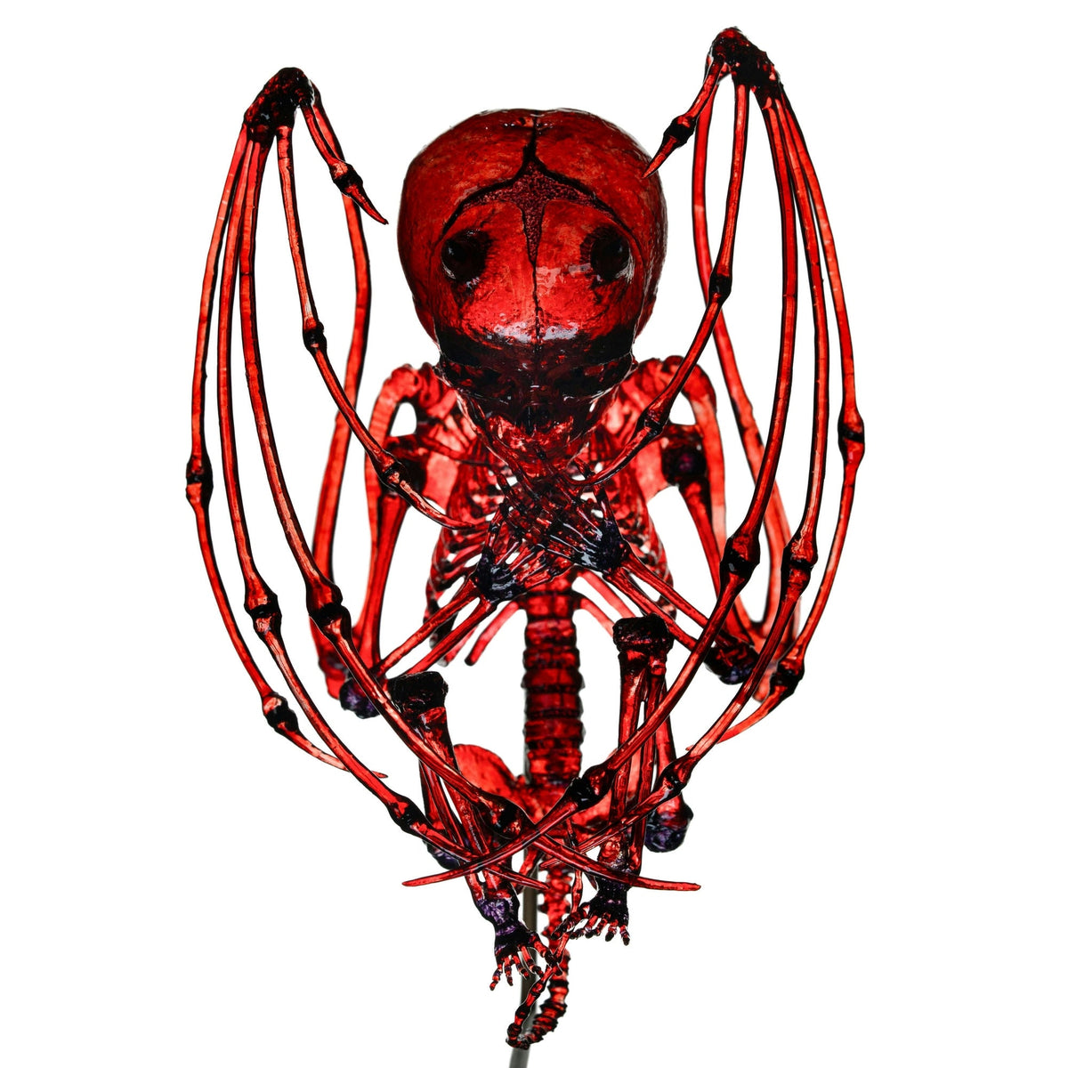 Diaphonized Fetus