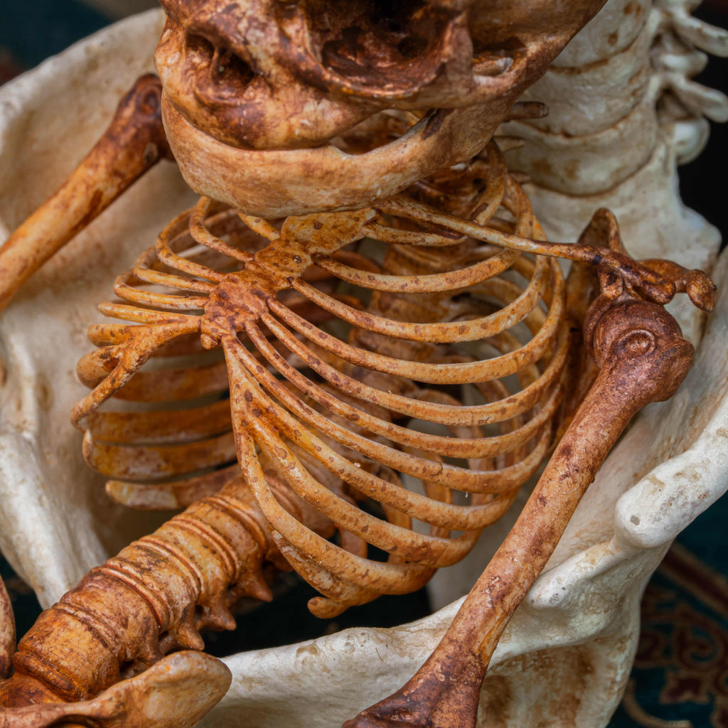 3D printed baby fetus skeleton air plant holder, designed with a hollow skull cradle for Tillandsia air plants. Hand-finished for realistic bone texture, this gothic planter doubles as anatomical art and functional decor. Perfect for oddities collectors, gothic home interiors, witchcraft altars, and dark academia studies. A surreal memento mori air plant display, blending science, macabre symbolism, and curiosity cabinet aesthetics for unique gothic decor.