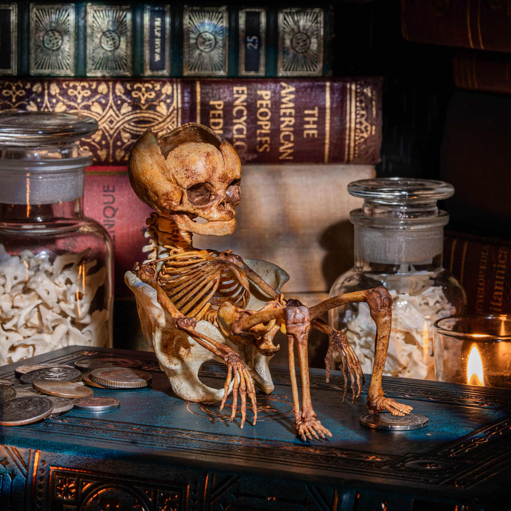 3D printed baby fetus skeleton air plant holder, designed with a hollow skull cradle for Tillandsia air plants. Hand-finished for realistic bone texture, this gothic planter doubles as anatomical art and functional decor. Perfect for oddities collectors, gothic home interiors, witchcraft altars, and dark academia studies. A surreal memento mori air plant display, blending science, macabre symbolism, and curiosity cabinet aesthetics for unique gothic decor.