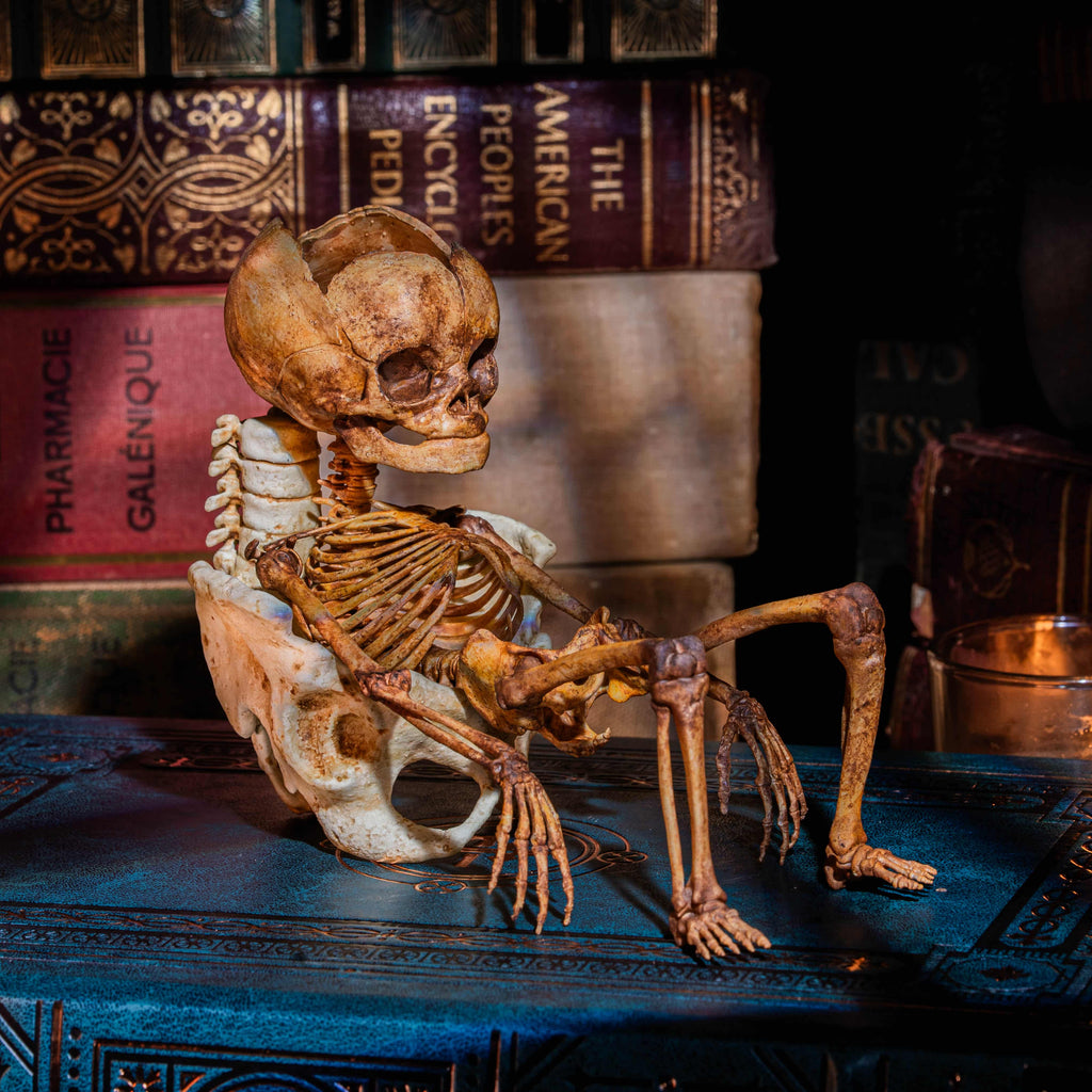 3D printed baby fetus skeleton air plant holder, designed with a hollow skull cradle for Tillandsia air plants. Hand-finished for realistic bone texture, this gothic planter doubles as anatomical art and functional decor. Perfect for oddities collectors, gothic home interiors, witchcraft altars, and dark academia studies. A surreal memento mori air plant display, blending science, macabre symbolism, and curiosity cabinet aesthetics for unique gothic decor.