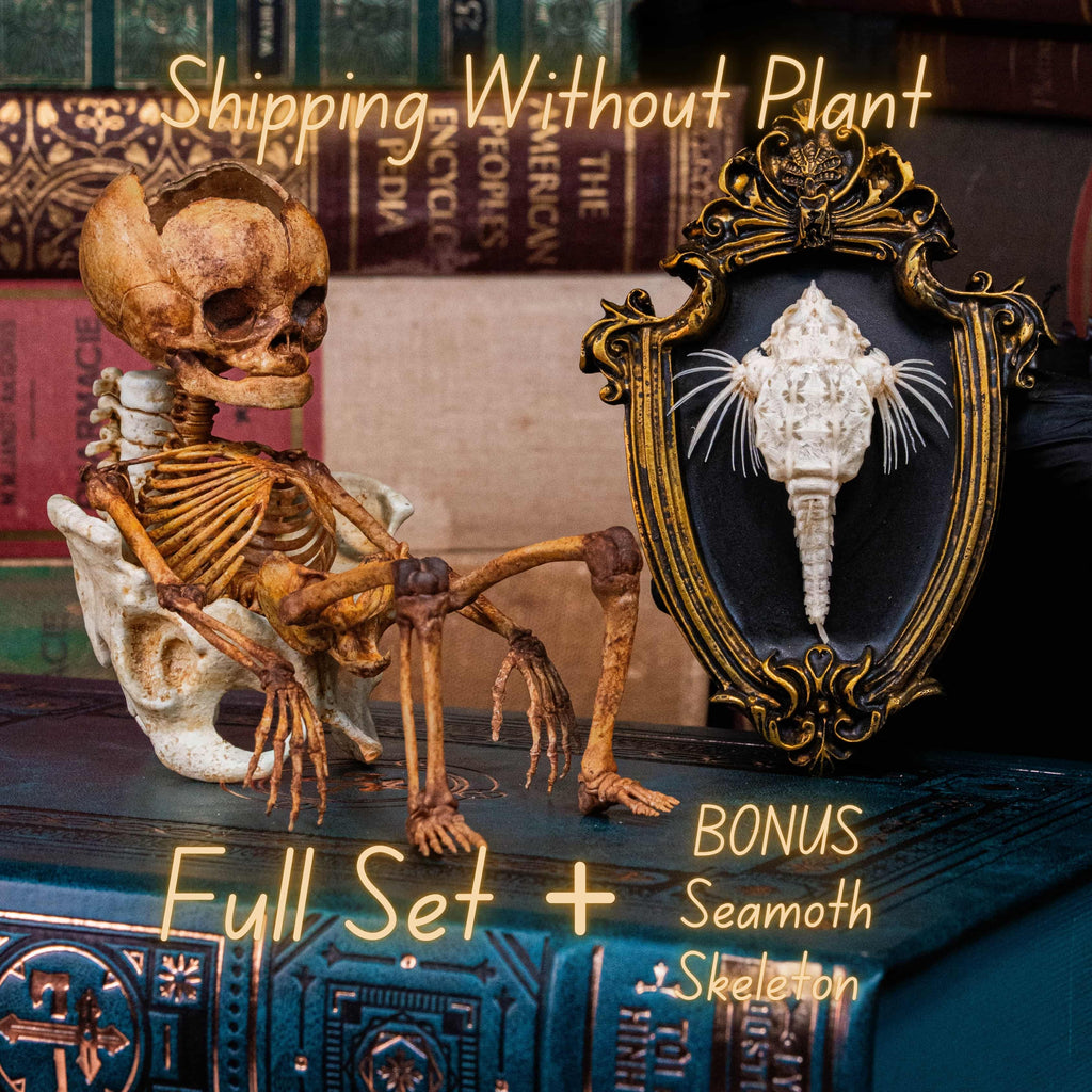 3D printed baby fetus skeleton air plant holder, designed with a hollow skull cradle for Tillandsia air plants. Hand-finished for realistic bone texture, this gothic planter doubles as anatomical art and functional decor. Perfect for oddities collectors, gothic home interiors, witchcraft altars, and dark academia studies. A surreal memento mori air plant display, blending science, macabre symbolism, and curiosity cabinet aesthetics for unique gothic decor.