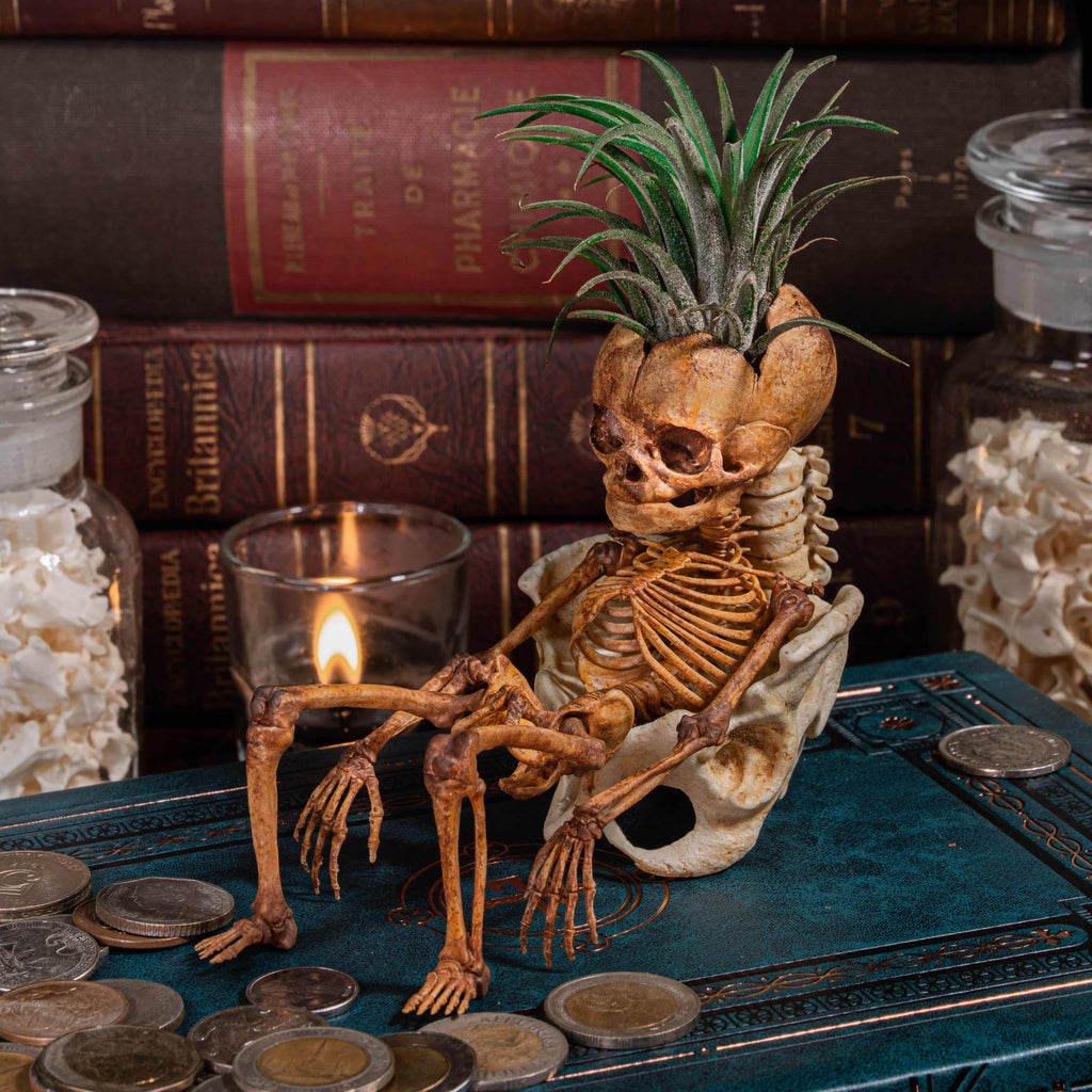 3D printed baby fetus skeleton air plant holder, designed with a hollow skull cradle for Tillandsia air plants. Hand-finished for realistic bone texture, this gothic planter doubles as anatomical art and functional decor. Perfect for oddities collectors, gothic home interiors, witchcraft altars, and dark academia studies. A surreal memento mori air plant display, blending science, macabre symbolism, and curiosity cabinet aesthetics for unique gothic decor.