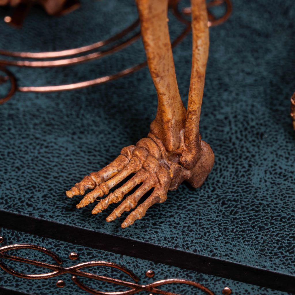 3D printed baby fetus skeleton air plant holder, designed with a hollow skull cradle for Tillandsia air plants. Hand-finished for realistic bone texture, this gothic planter doubles as anatomical art and functional decor. Perfect for oddities collectors, gothic home interiors, witchcraft altars, and dark academia studies. A surreal memento mori air plant display, blending science, macabre symbolism, and curiosity cabinet aesthetics for unique gothic decor.