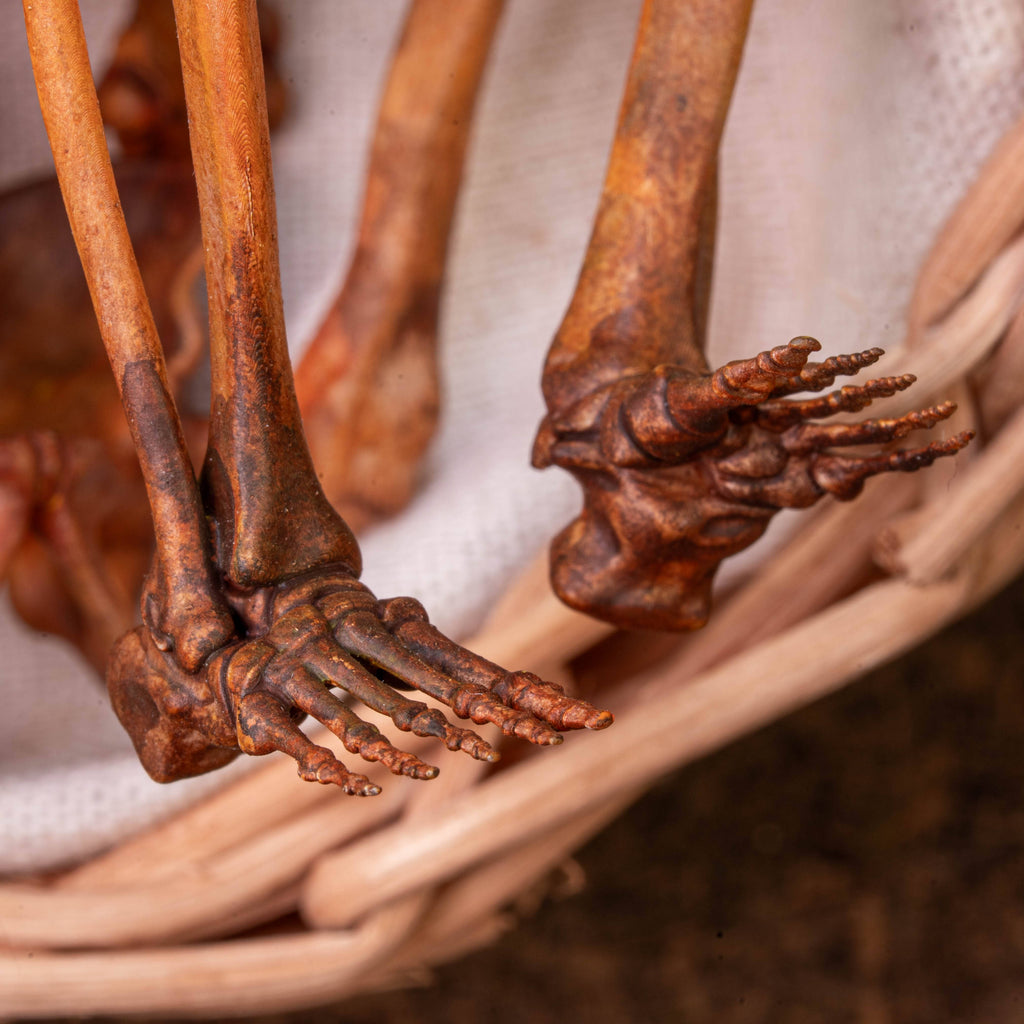 Anatomically accurate baby human fetus skeleton displayed in a handwoven wicker cradle.
Human skull. Human skeleton. Oddities and curiosities. Gothic home decor. Dark academia. Witchcraft collectibles. Horror nursery display. Afterlife symbolism. Creepy cradle art piece.