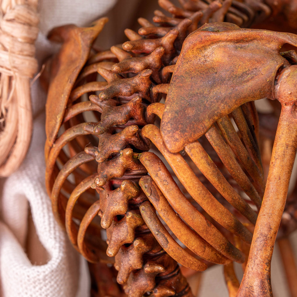 Anatomically accurate baby human fetus skeleton displayed in a handwoven wicker cradle.
Human skull. Human skeleton. Oddities and curiosities. Gothic home decor. Dark academia. Witchcraft collectibles. Horror nursery display. Afterlife symbolism. Creepy cradle art piece.