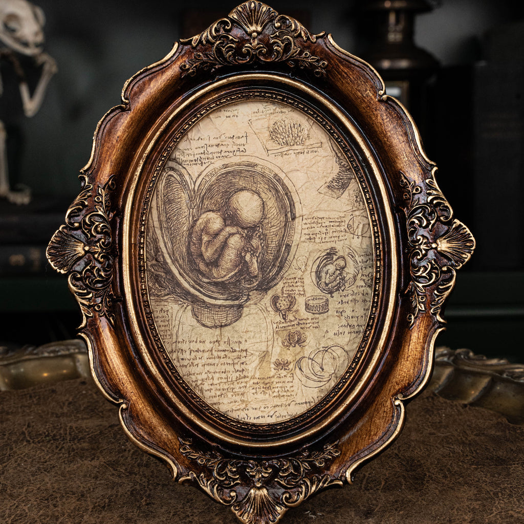 Baby human fetus skeleton on vintage gothic frame.
anatomical accurate model 
human skull
human skeleton
oddities and curiosities 
gothic wall decor
dark academia
WitchCraft collectibles
horror home decor
afterlife art
Creepy tabletop decor