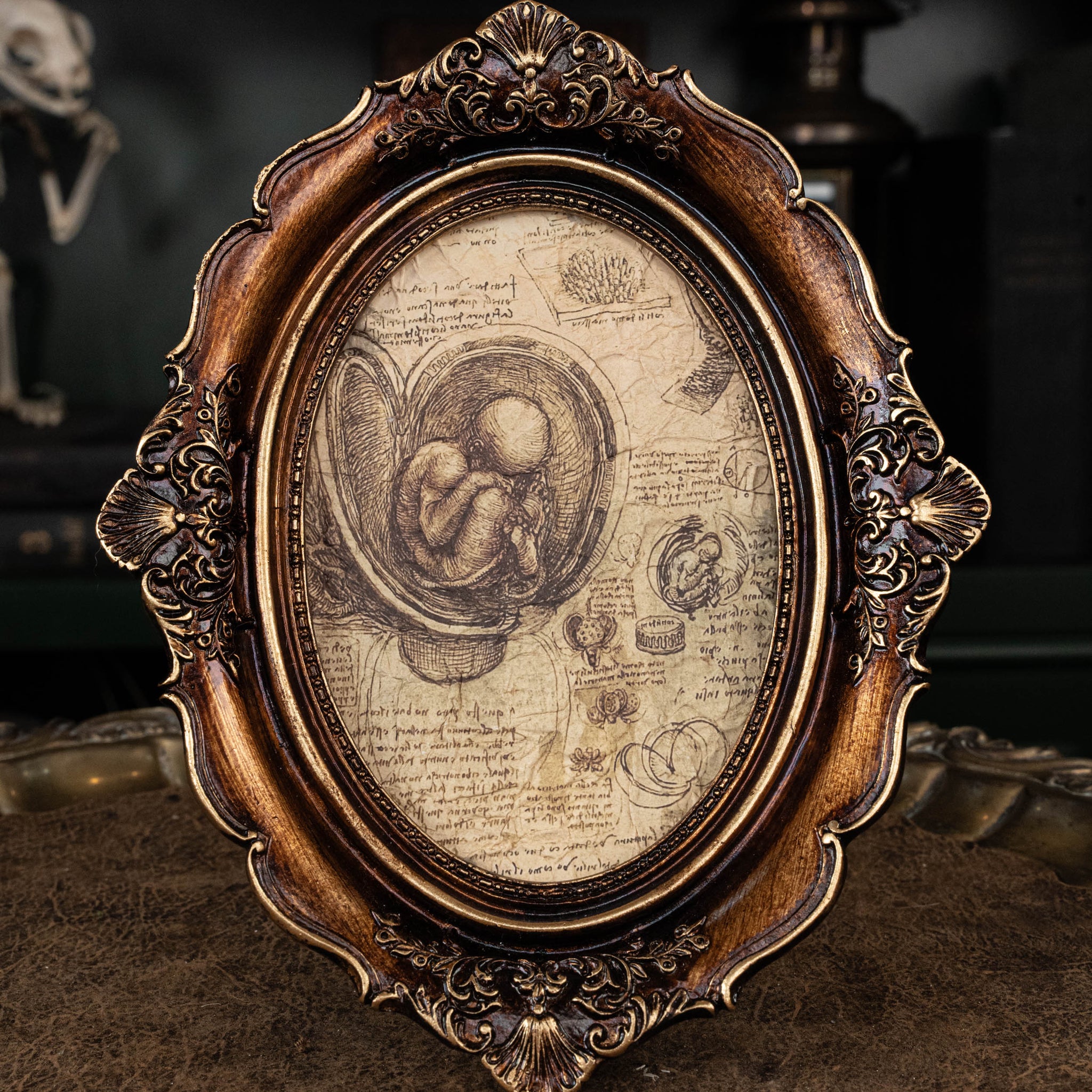 3D Printed Human Fetus Infant skeleton on Vintage frame, hand