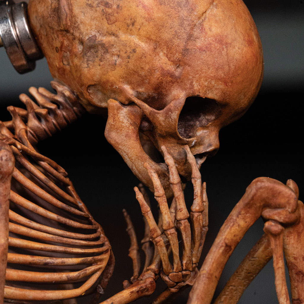 Baby human fetus skeleton on vintage gothic frame.
anatomical accurate model 
human skull
human skeleton
oddities and curiosities 
gothic wall decor
dark academia
WitchCraft collectibles
horror home decor
afterlife art
Creepy tabletop decor