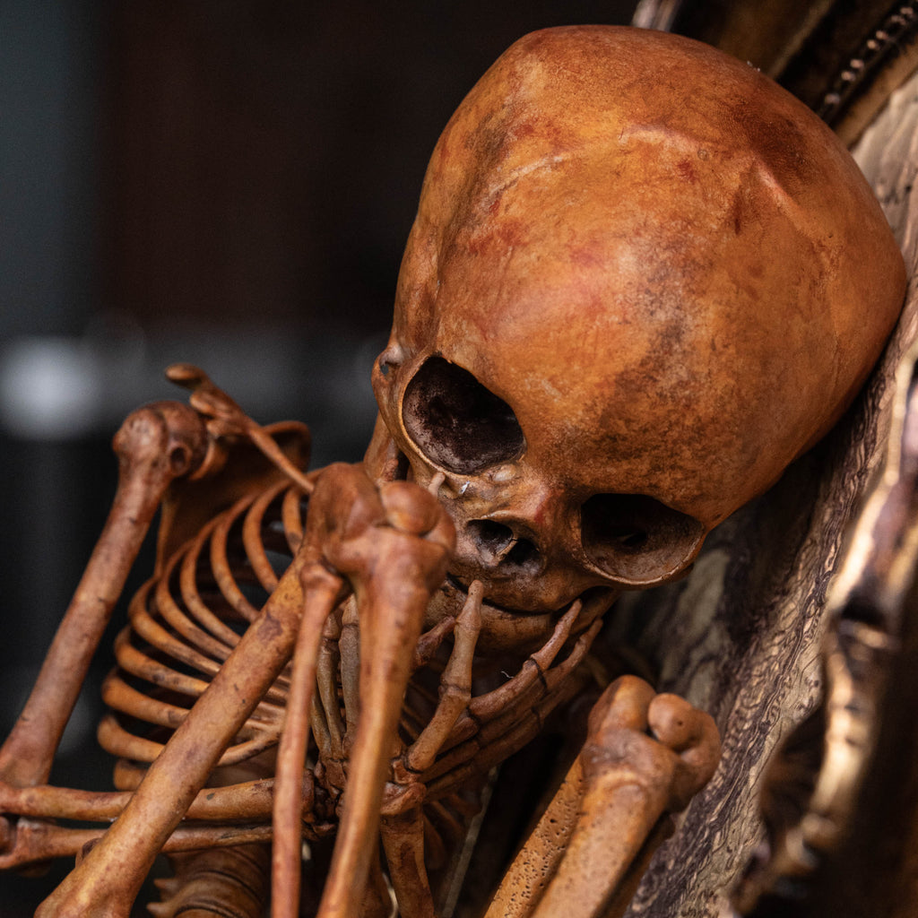 Baby human fetus skeleton on vintage gothic frame.
anatomical accurate model 
human skull
human skeleton
oddities and curiosities 
gothic wall decor
dark academia
WitchCraft collectibles
horror home decor
afterlife art
Creepy tabletop decor