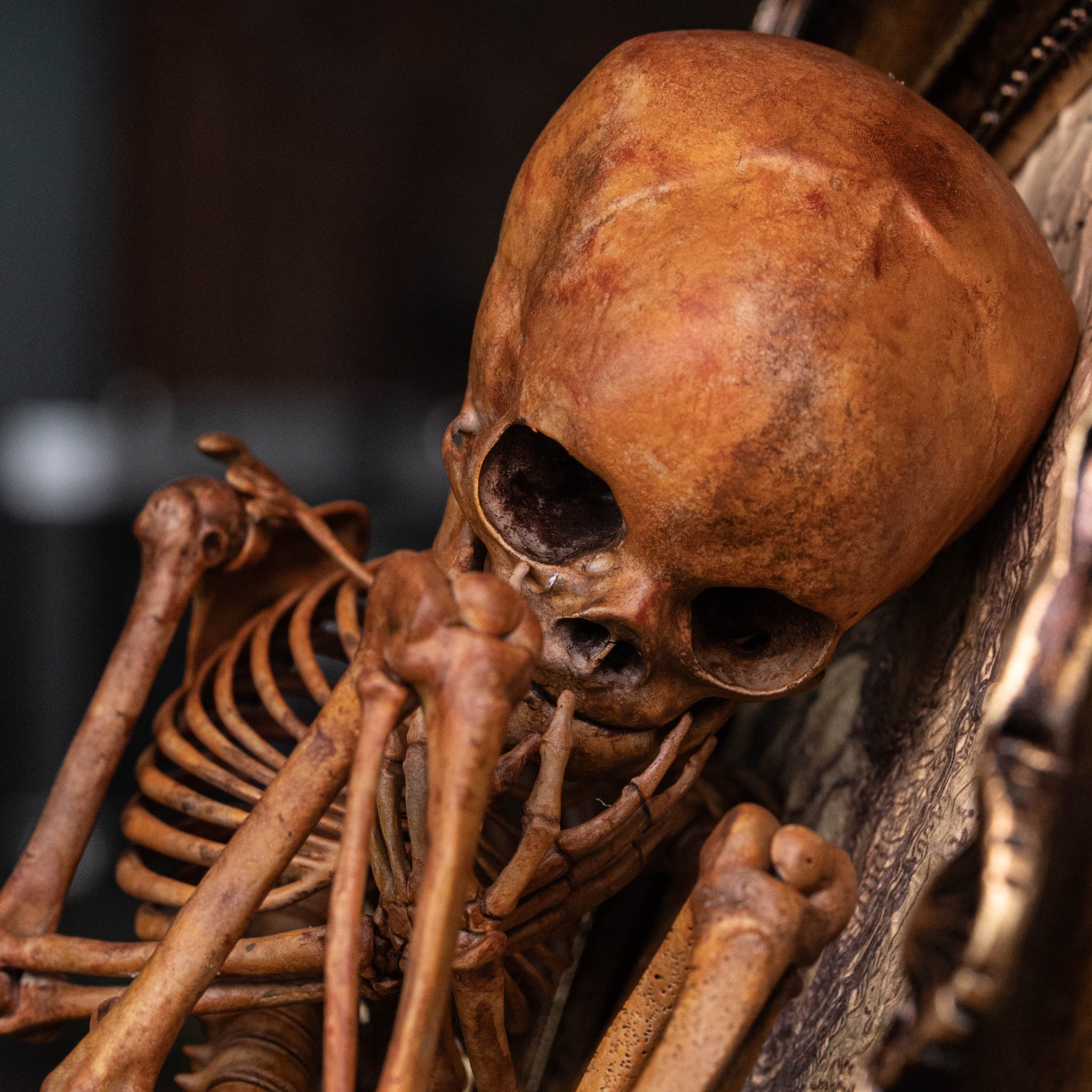 unmagoDOLL Gothic調 骨盤 skeleton chair ドール家具 髑髏 骸骨 unmagoDOLL Gothic調 骨盤 skeleton chair ドール家具 髑髏 骸骨