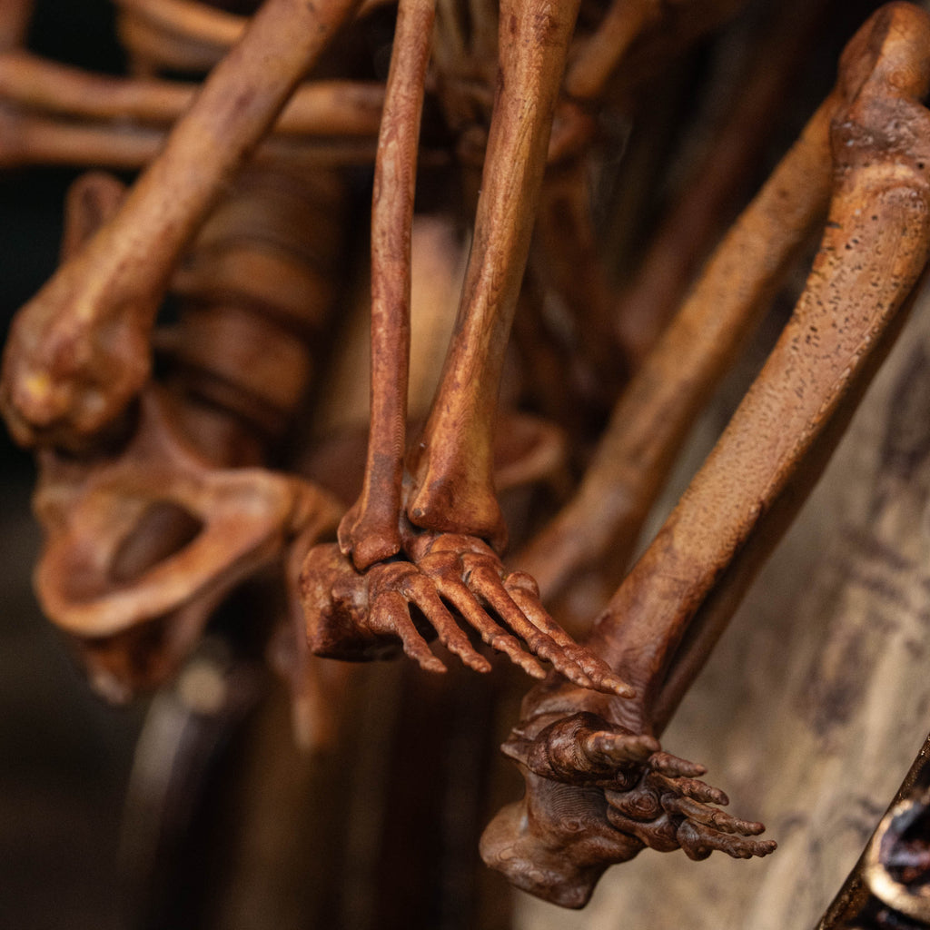 Baby human fetus skeleton on vintage gothic frame.
anatomical accurate model 
human skull
human skeleton
oddities and curiosities 
gothic wall decor
dark academia
WitchCraft collectibles
horror home decor
afterlife art
Creepy tabletop decor