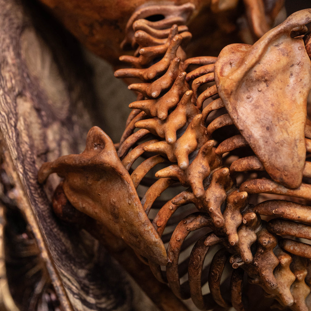 Baby human fetus skeleton on vintage gothic frame.
anatomical accurate model 
human skull
human skeleton
oddities and curiosities 
gothic wall decor
dark academia
WitchCraft collectibles
horror home decor
afterlife art
Creepy tabletop decor