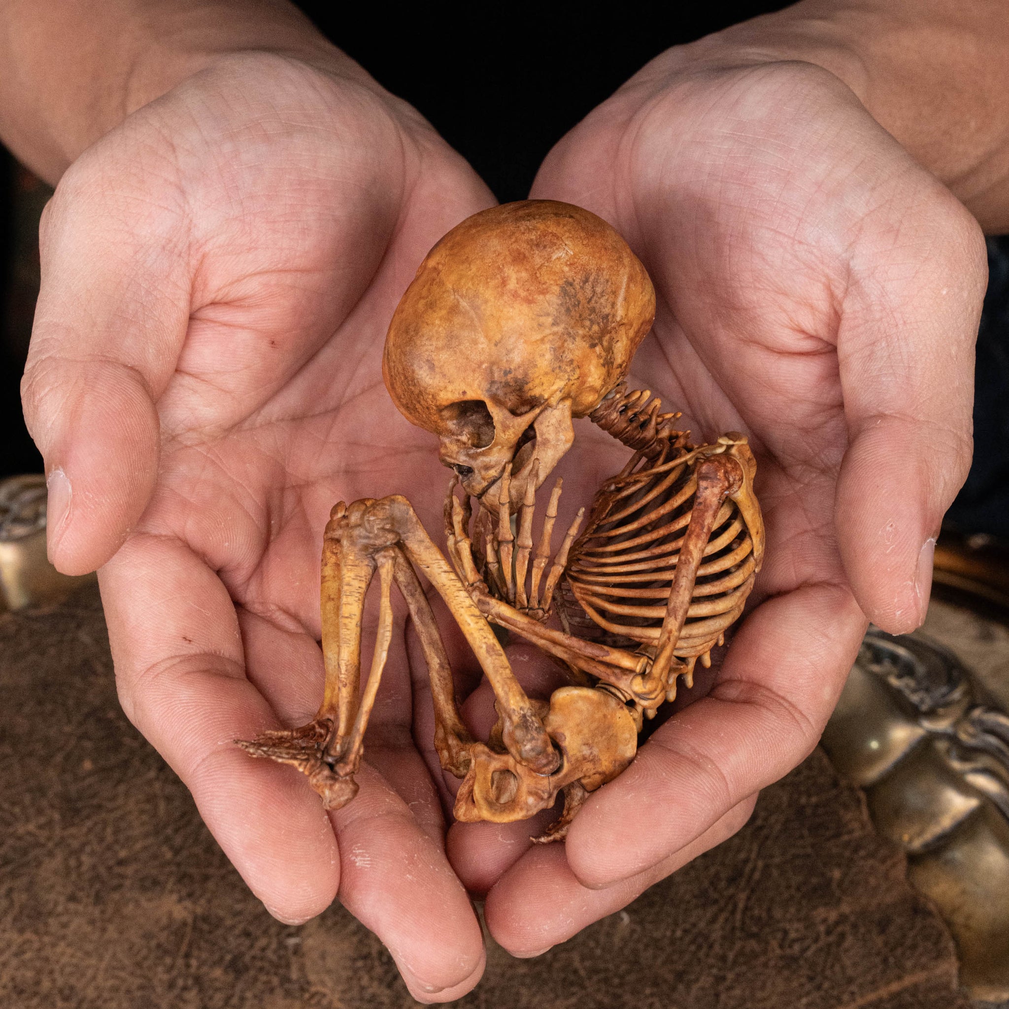 3D Printed Human Fetus Infant skeleton on Vintage frame, hand