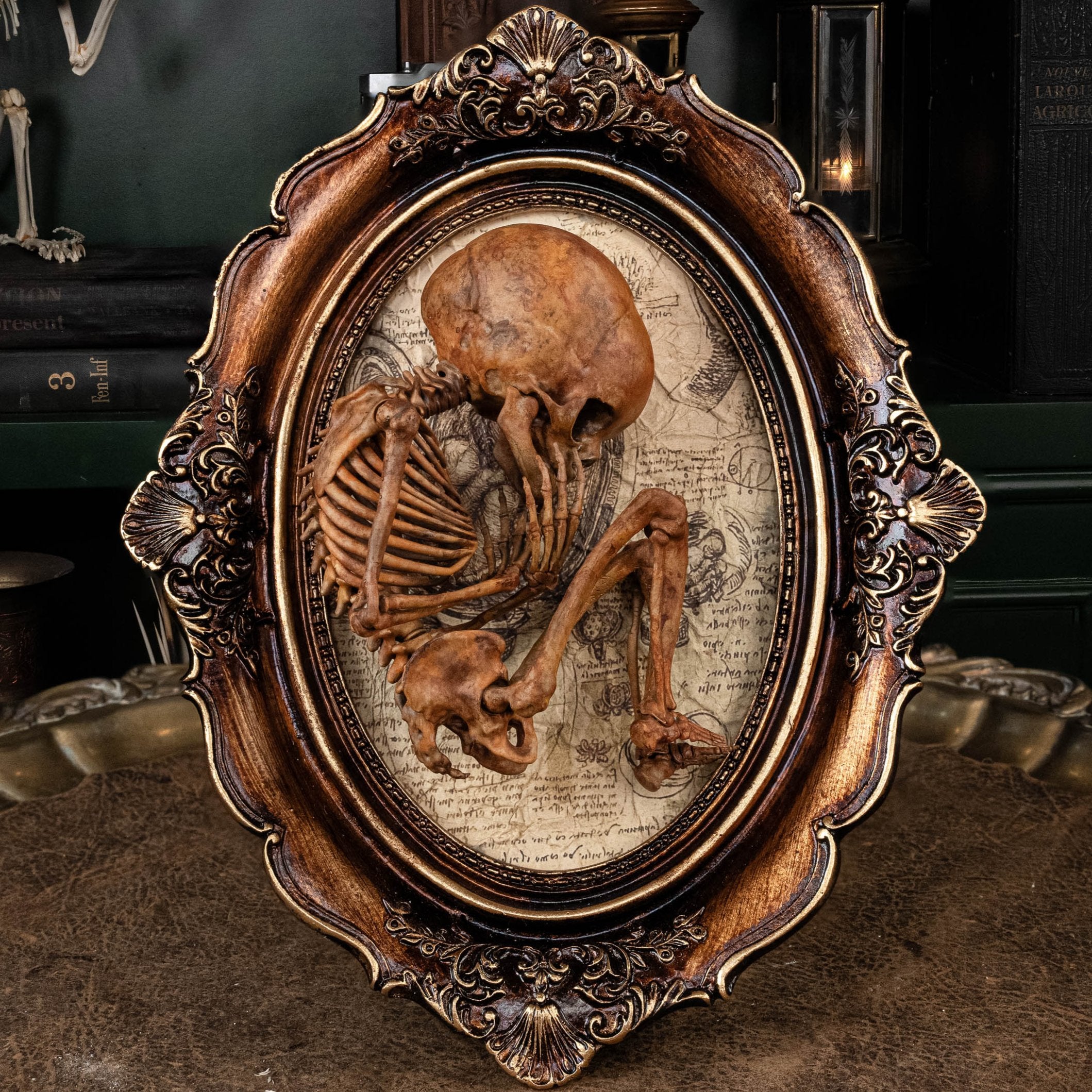 Baby_skeleton__8_2119x.jpg?v=