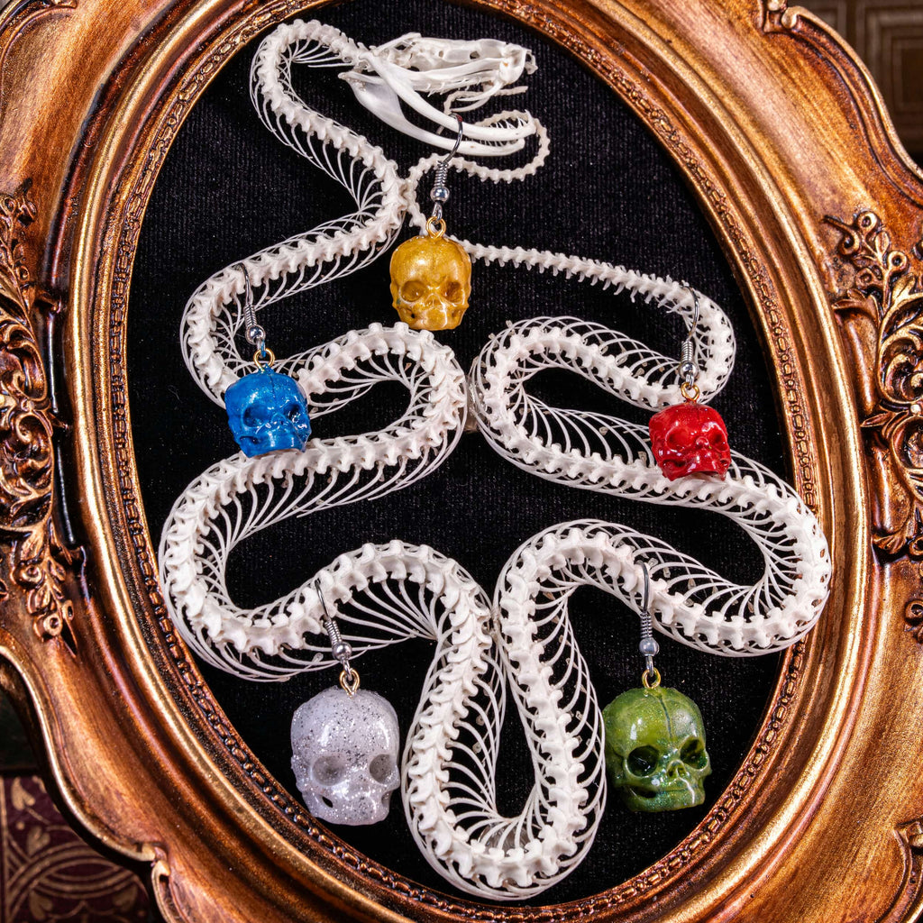 Real Viper snake skeleton taxidermy arranged in the shape of a Christmas tree, displayed on ornate gold Baroque frame with black velvet background. Decorated with colorful skull ball ornaments in red, blue, green, and pearl tones, combining gothic art with festive holiday symbolism. Perfect for dark academia interiors, oddities collectors, gothic Christmas displays, and skull lovers seeking unique handmade taxidermy art decor.