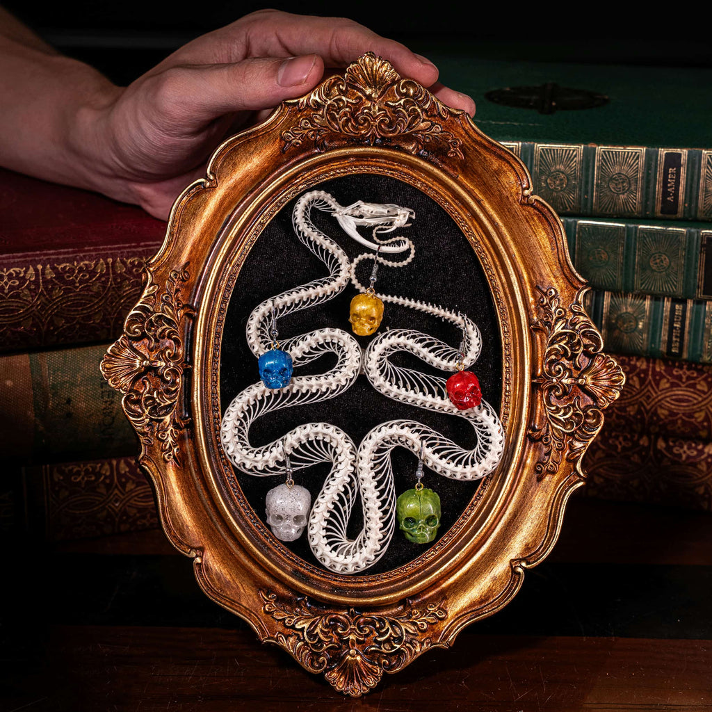 Real Viper snake skeleton taxidermy arranged in the shape of a Christmas tree, displayed on ornate gold Baroque frame with black velvet background. Decorated with colorful skull ball ornaments in red, blue, green, and pearl tones, combining gothic art with festive holiday symbolism. Perfect for dark academia interiors, oddities collectors, gothic Christmas displays, and skull lovers seeking unique handmade taxidermy art decor.