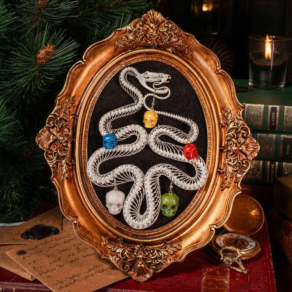 Real Viper snake skeleton taxidermy arranged in the shape of a Christmas tree, displayed on ornate gold Baroque frame with black velvet background. Decorated with colorful skull ball ornaments in red, blue, green, and pearl tones, combining gothic art with festive holiday symbolism. Perfect for dark academia interiors, oddities collectors, gothic Christmas displays, and skull lovers seeking unique handmade taxidermy art decor.