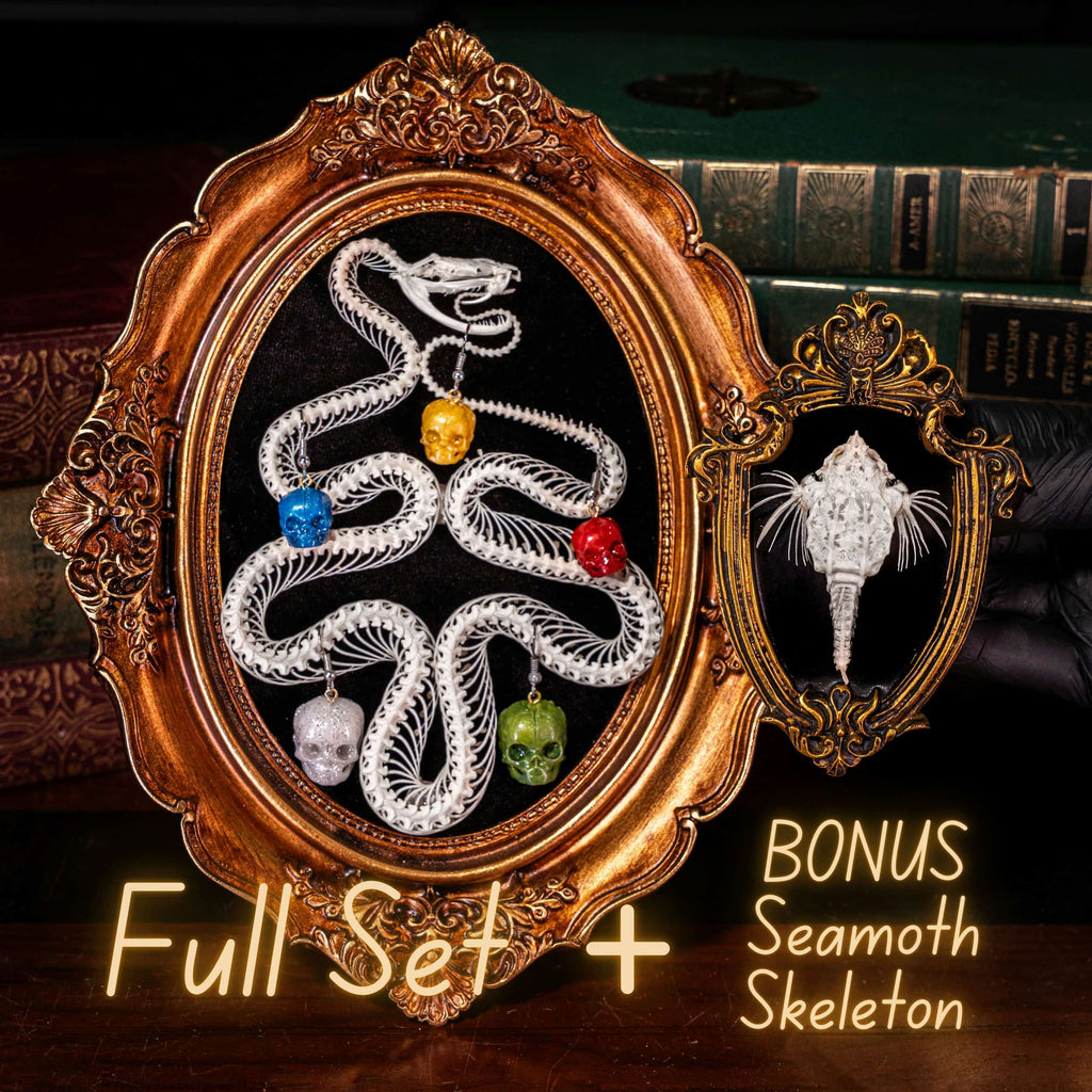 Snake skeleton Christmas Tree - Real Viper taxidermy with Skull Ball Ornaments on Gothic Frame Full Set + BONUS