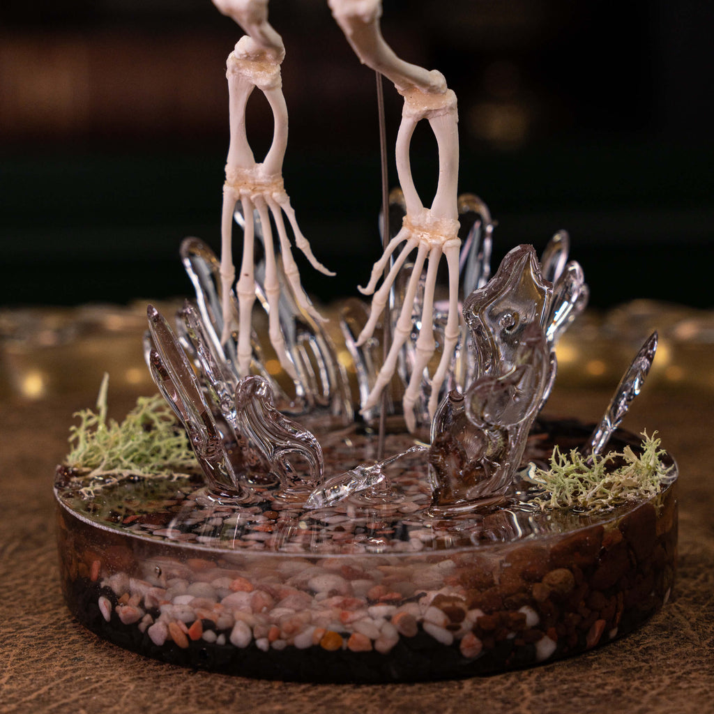 museum specimen collection bone collection, skeleton collection  oddities and curiosities  real frog skeleton resin diorama with water effect  real frog skeleton jumping out of water  museum grade specimen  craft grade skull skeleton  asian bullfrog