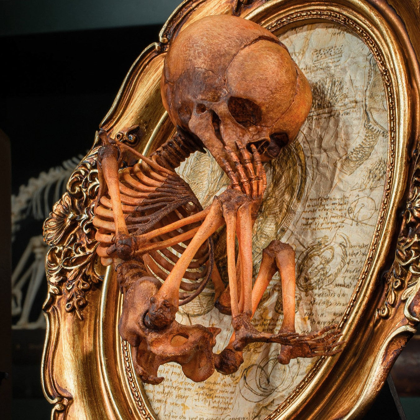 Art Studio「SHOT!」Skeleton Baby 3D Printed Human Fetus Infant skeleton on Vintage frame, hand