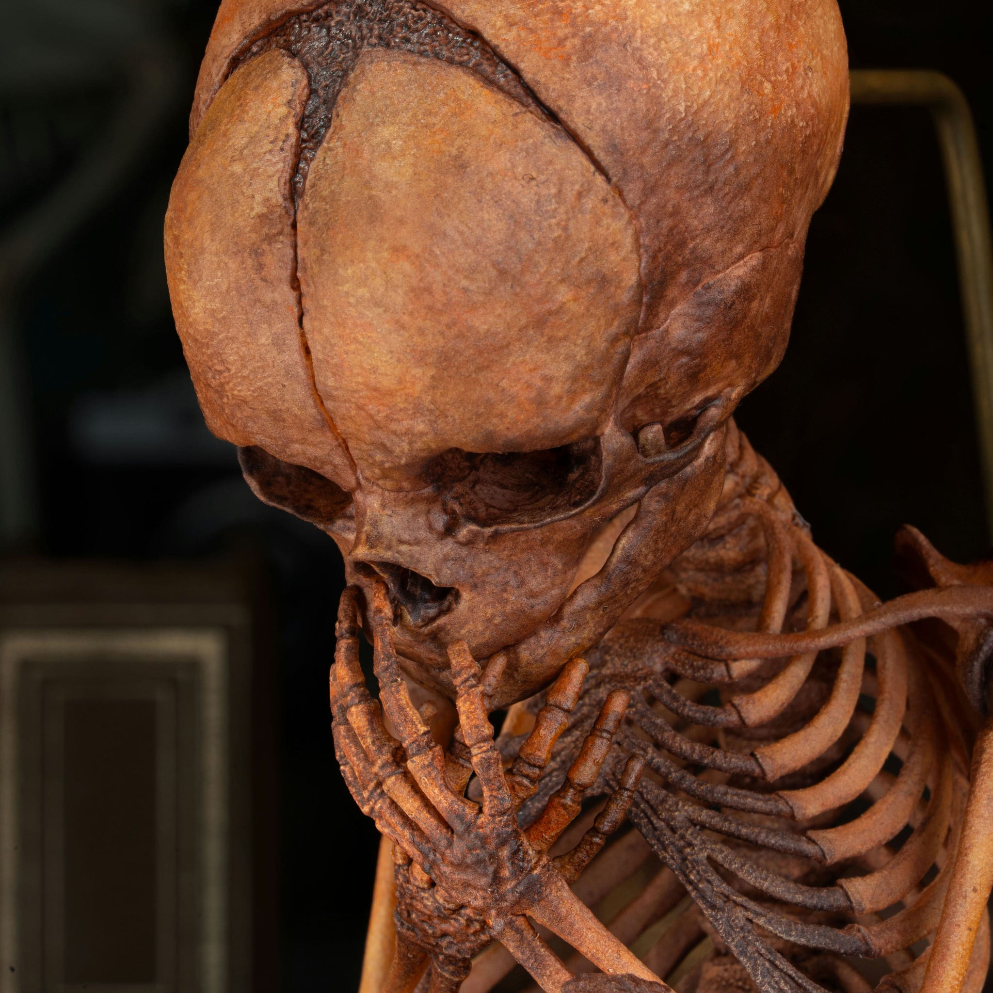 3D Printed Human Fetus Infant skeleton on Magnet Stand, hand