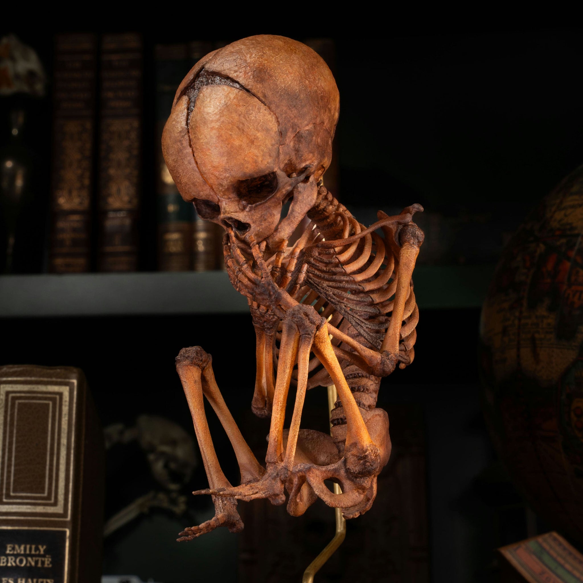 3D Printed Human Fetus Infant skeleton on Magnet Stand, hand