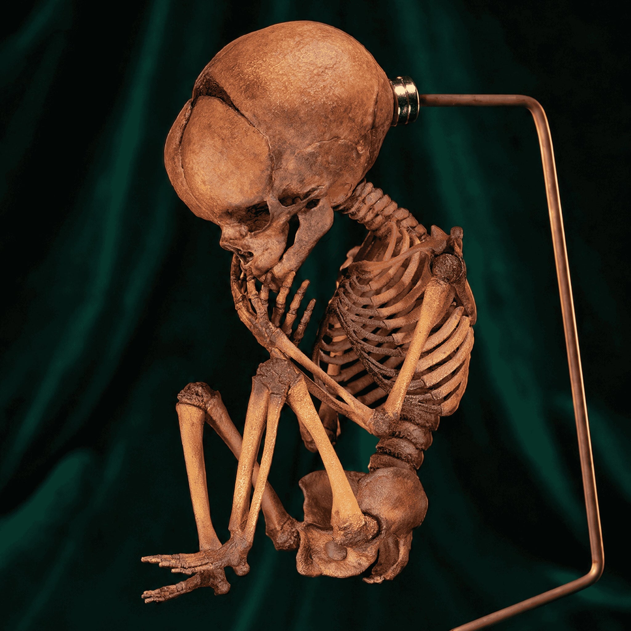 Art Studio「SHOT!」Skeleton Baby 3D Printed Human Fetus Infant skeleton on Magnet Stand, hand