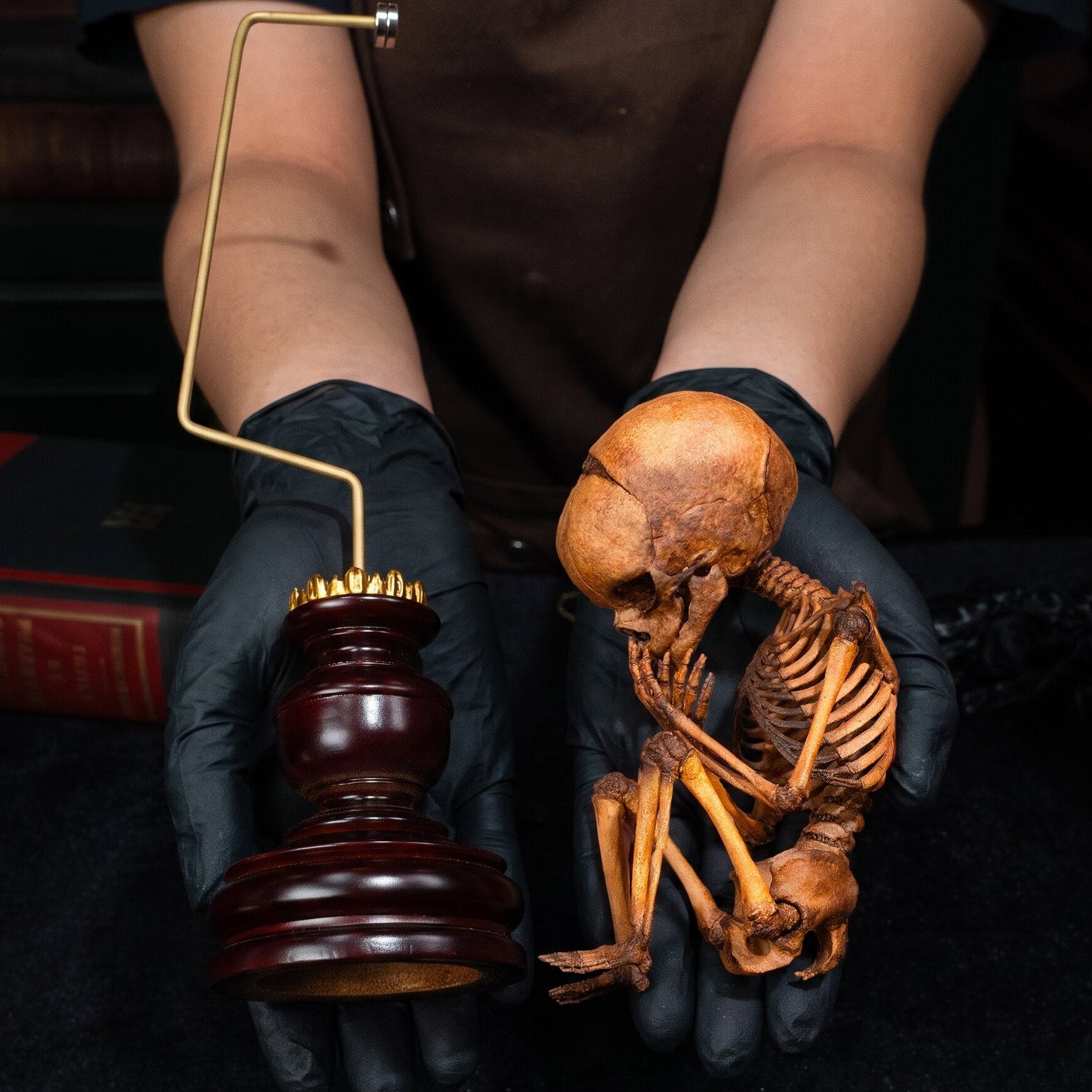 3D Printed Human Fetus Infant skeleton on Magnet Stand, hand