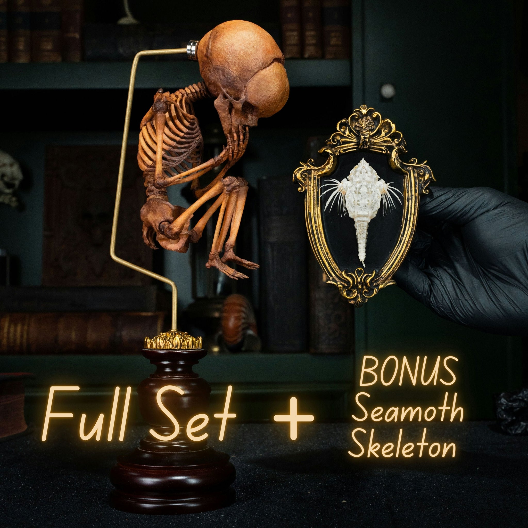 3D Printed Human Fetus Infant skeleton on Magnet Stand, hand