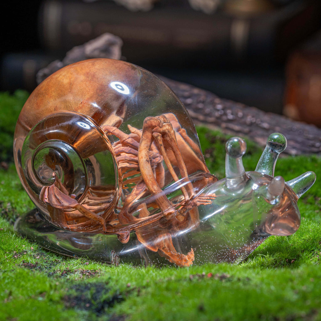 Anatomically accurate baby human fetus skeleton inside a translucent snail.
Human skull. Human skeleton. Oddities and curiosities. Gothic home decor. Dark academia. Witchcraft collectibles. Horror nursery display. Afterlife symbolism. Creepy cradle art piece