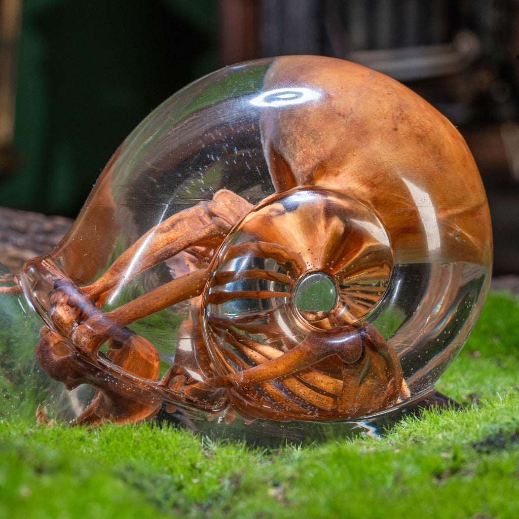 Anatomically accurate baby human fetus skeleton inside a translucent snail.
Human skull. Human skeleton. Oddities and curiosities. Gothic home decor. Dark academia. Witchcraft collectibles. Horror nursery display. Afterlife symbolism. Creepy cradle art piece