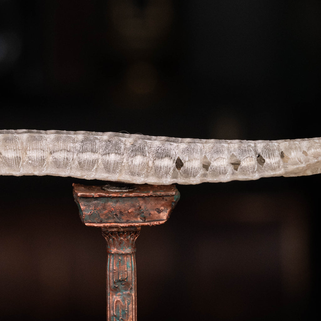 real pipefish skeleton, seahorse skeleton, alligator pipefish, Syngnathinae
bone collection,
oddities and curiosities, 
Real fish skeleton taxidermy, 
real fish skull,
trophy fish taxidermy, 
fish anatomy, 
Goth home decor, dark academia, vulture culture