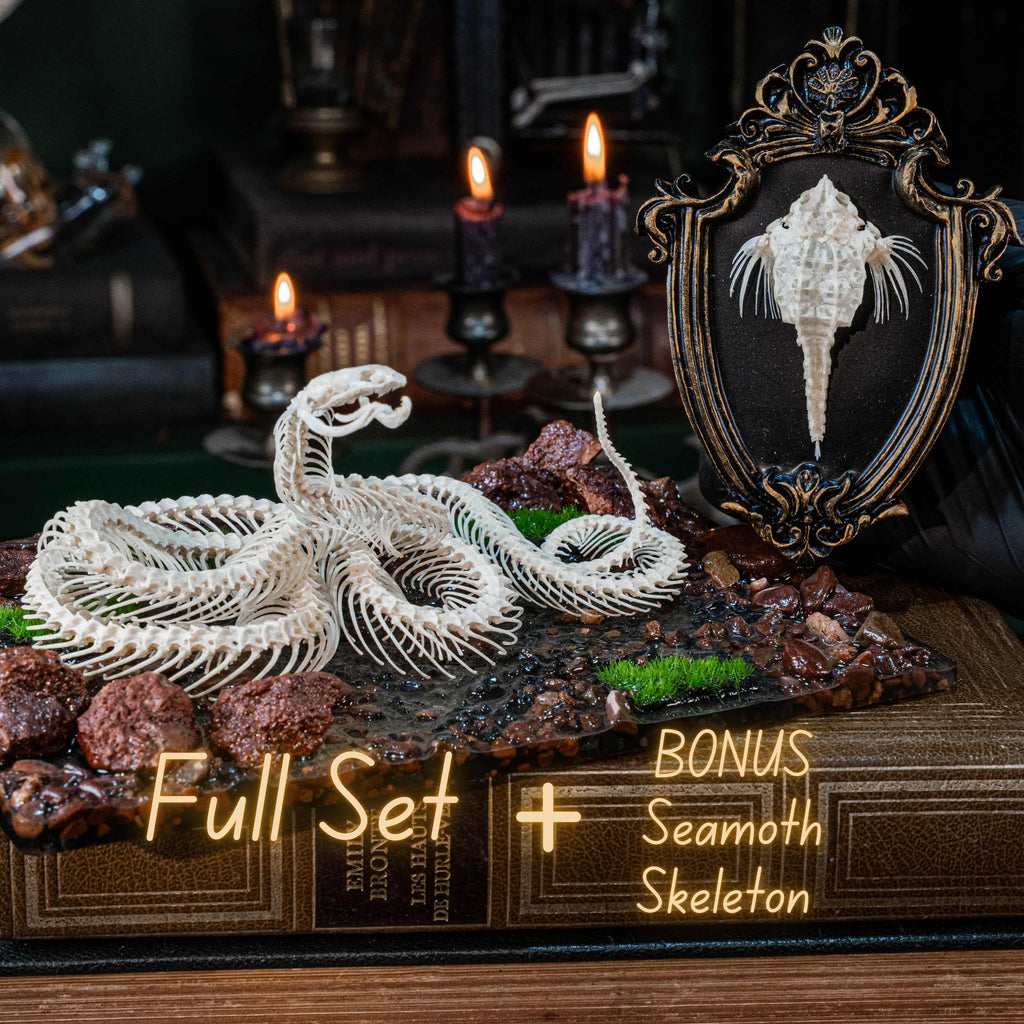 Real Snake Skeleton Taxidermy on realistic Diorama for Witchcraft Altar Gothic Wall Shelf Curio Display gift for Occult Science Room decor image 10