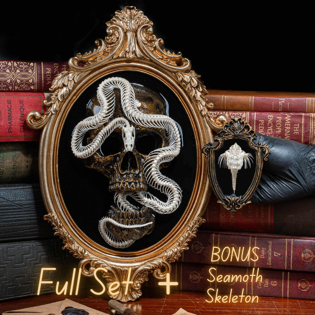 Real snake skeleton taxidermy on golden Gothic frame with 3D printed human skull, creepy wall hanging for horror decor lovers, oddities collector gift, macabre wall art featuring coiled snake and black velvet background, gothic wall sculpture for haunted room display, dark academia taxidermy centerpiece