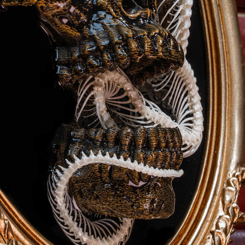 Real Snake Skeleton on Skull Wall Hanging Gothic Taxidermy Art on Vintage Frame for Halloween Home Decor Gift for Creepy Horror Skull Lover image 6