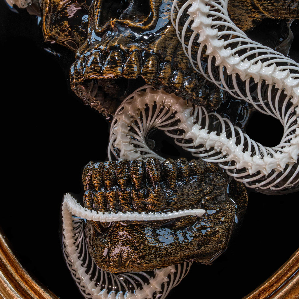 Real Snake Skeleton on Skull Wall Hanging Gothic Taxidermy Art on Vintage Frame for Halloween Home Decor Gift for Creepy Horror Skull Lover image 7