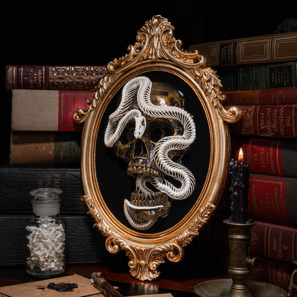 Real snake skeleton taxidermy on golden Gothic frame with 3D printed human skull, creepy wall hanging for horror decor lovers, oddities collector gift, macabre wall art featuring coiled snake and black velvet background, gothic wall sculpture for haunted room display, dark academia taxidermy centerpiece