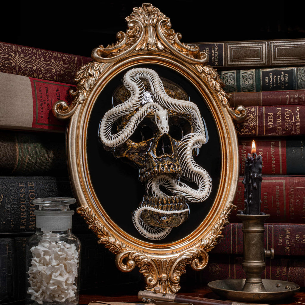 Real snake skeleton taxidermy on golden Gothic frame with 3D printed human skull, creepy wall hanging for horror decor lovers, oddities collector gift, macabre wall art featuring coiled snake and black velvet background, gothic wall sculpture for haunted room display, dark academia taxidermy centerpiece