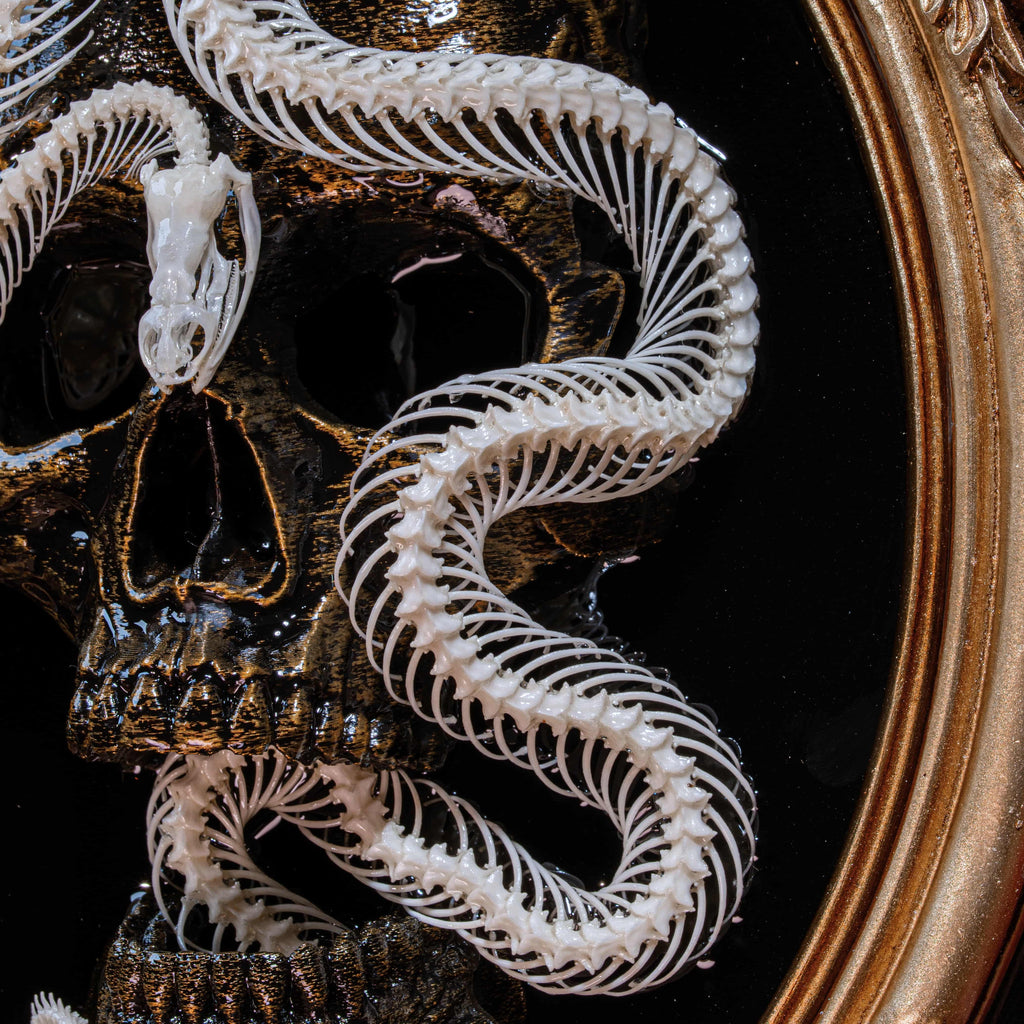 Real snake skeleton taxidermy curled in lifelike pose, showcasing vertebrae and fangs, preserved and articulated for scientific display, natural snake bone art for collectors of reptile skeletons and anatomical oddities, coiled viper skeleton specimen for macabre wall art or educational decor, detailed serpent spine with sharp jaw structure, perfect for gothic science decor and osteology lovers.