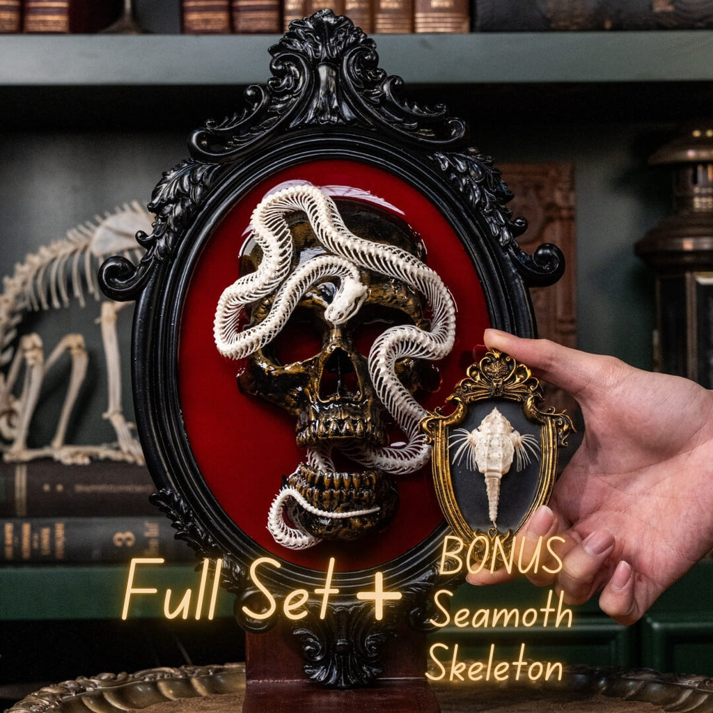 real snake skeleton is artfully curled around a 3D printed human skull, mounted on a deep red velvet background inside an ornate Gothic-style frame. The crimson backdrop intensifies the visual contrast, evoking a sense of blood, passion, and the eternal mystery of life and death.