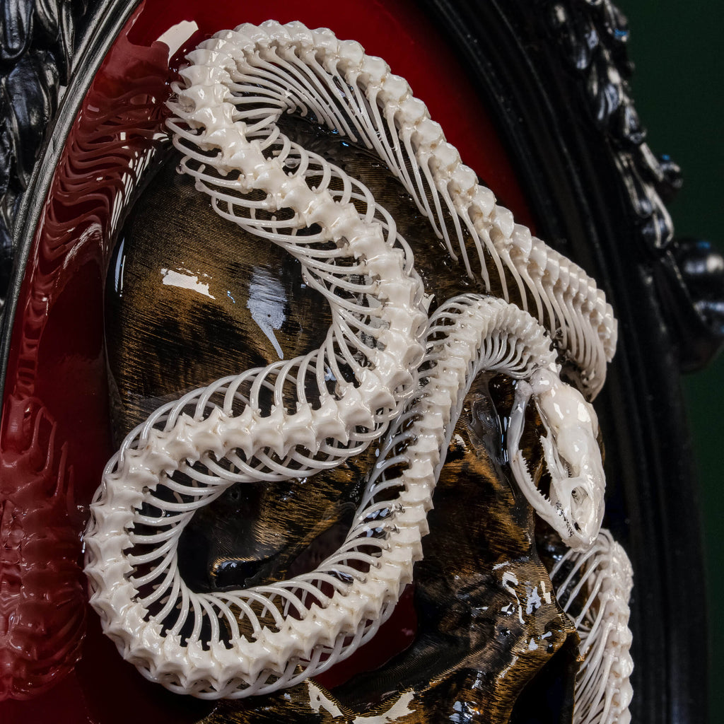 Real snake skeleton taxidermy wrapped around a 3D human skull, mounted on a red velvet Gothic backdrop inside an ornate Baroque frame. This unique dark academia wall art blends natural bone with macabre symbolism, making it perfect for oddities collectors, curiosity cabinet decor, witchcraft altar spaces, and gothic home interiors. Ideal for anatomical skeleton displays, Victorian-style wall decoration, and symbolic art gifts representing life, death, and transformation.