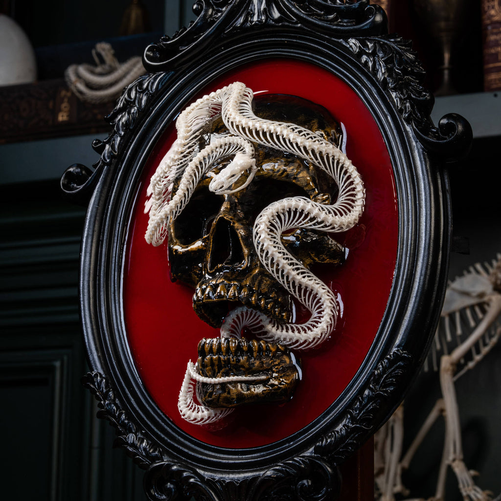 Real snake skeleton taxidermy curled around human skull on a deep red gothic frame – perfect for dark academia interiors.