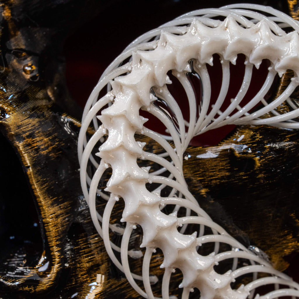 Real snake skeleton taxidermy wrapped around a 3D human skull, mounted on a red velvet Gothic backdrop inside an ornate Baroque frame. This unique dark academia wall art blends natural bone with macabre symbolism, making it perfect for oddities collectors, curiosity cabinet decor, witchcraft altar spaces, and gothic home interiors. Ideal for anatomical skeleton displays, Victorian-style wall decoration, and symbolic art gifts representing life, death, and transformation.