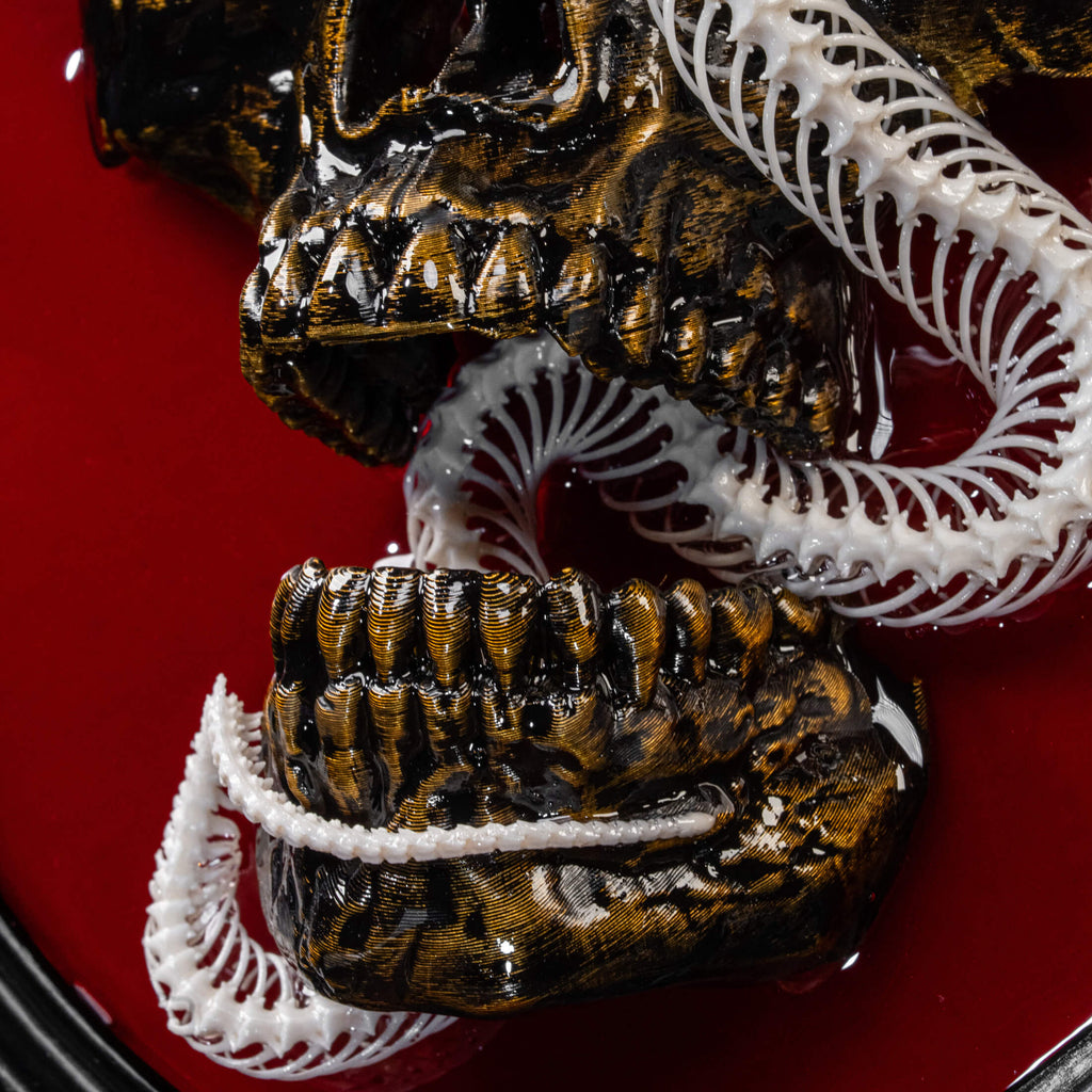 Real snake skeleton taxidermy wrapped around a 3D human skull, mounted on a red velvet Gothic backdrop inside an ornate Baroque frame. This unique dark academia wall art blends natural bone with macabre symbolism, making it perfect for oddities collectors, curiosity cabinet decor, witchcraft altar spaces, and gothic home interiors. Ideal for anatomical skeleton displays, Victorian-style wall decoration, and symbolic art gifts representing life, death, and transformation.