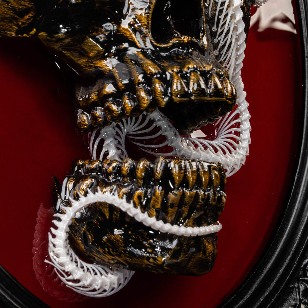 Real snake skeleton taxidermy wrapped around a 3D human skull, mounted on a red velvet Gothic backdrop inside an ornate Baroque frame. This unique dark academia wall art blends natural bone with macabre symbolism, making it perfect for oddities collectors, curiosity cabinet decor, witchcraft altar spaces, and gothic home interiors. Ideal for anatomical skeleton displays, Victorian-style wall decoration, and symbolic art gifts representing life, death, and transformation.