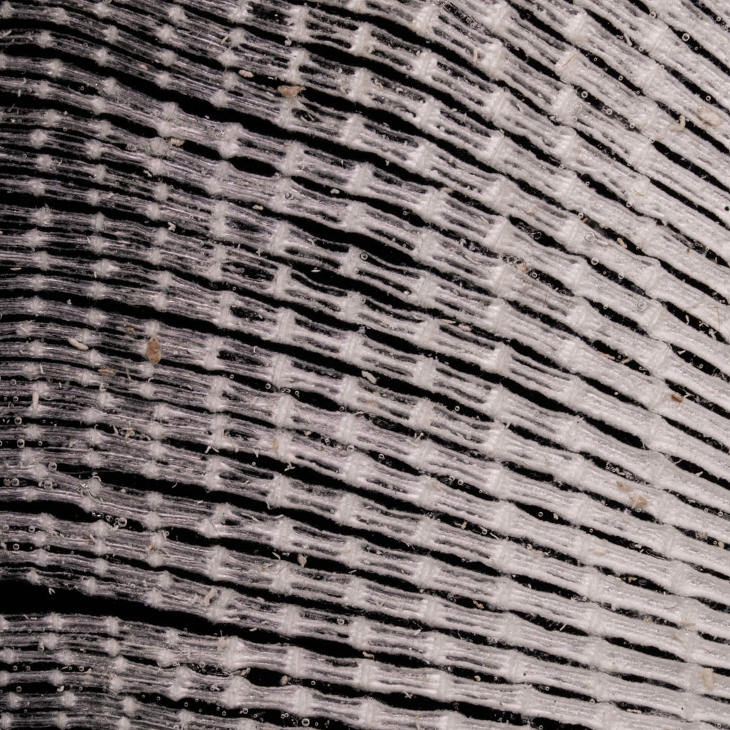 Real stingray skeleton taxidermy mounted on vintage gothic frame, showing full cartilage wings and barbs. Unique fish skeleton wall art for oddities collectors, gothic home decor, witchcraft altar, and museum-style displays. Perfect for marine biology enthusiasts, scientific classrooms, or curiosity cabinet collections. A striking combination of natural history and dark academia aesthetic, ideal as symbolic storytelling art for Halloween or Victorian-inspired interiors.