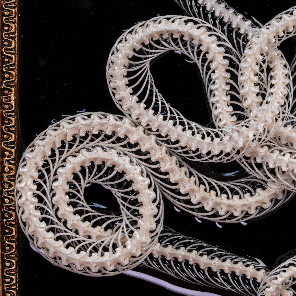 Real viper skulls and bones forming Caduceus emblem — macabre snake taxidermy for horror decor or curiosity cabinet.