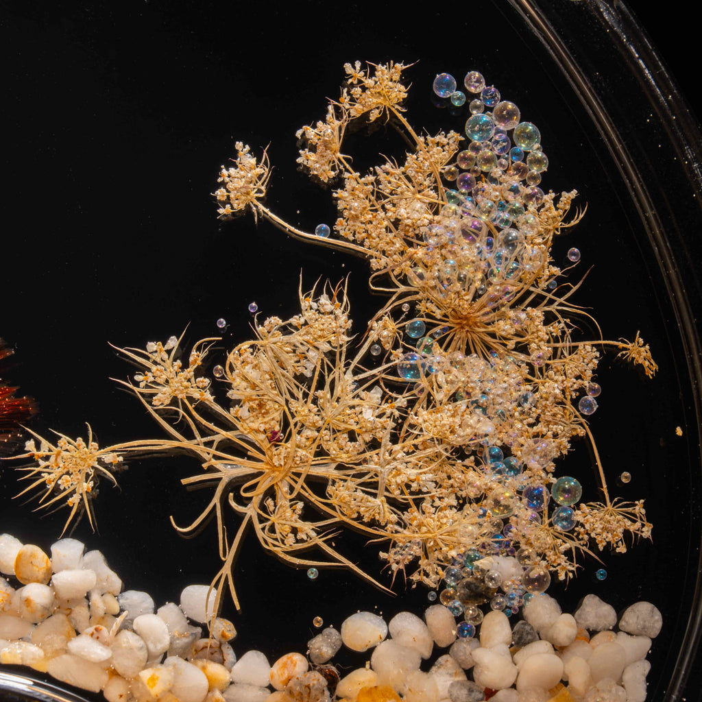 Two real red Betta fish displayed in a clear tank with a glowing wooden LED base, showcasing lifelike preservation and artistic lighting.