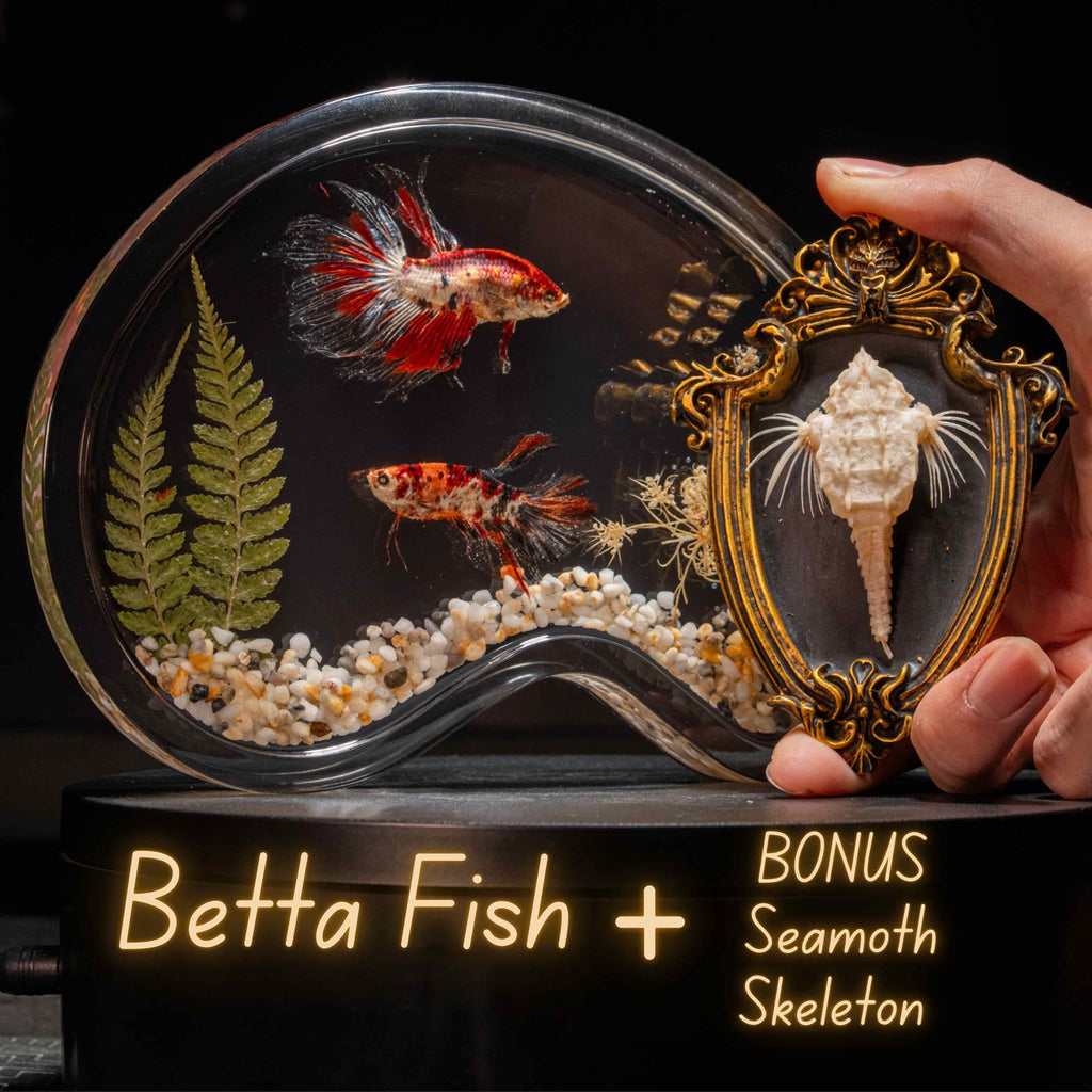 Two real red Betta fish displayed in a clear tank with a glowing wooden LED base, showcasing lifelike preservation and artistic lighting.